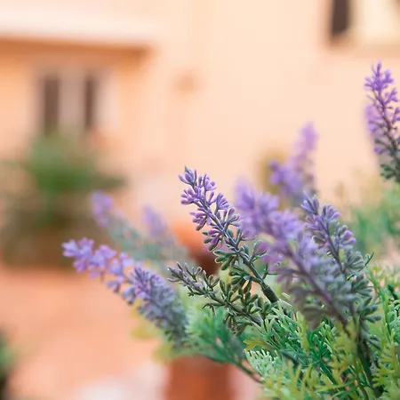 Lägenhet Il Cortile Delle Esperidi *