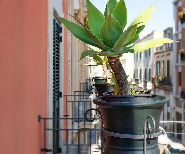 Il Cortile Delle Esperidi