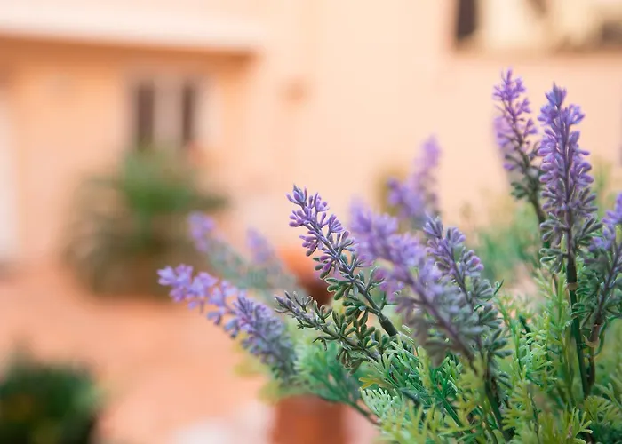 Appartement Il Cortile Delle Esperidi *